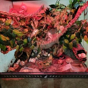 PLSreadBEFOREbuying!